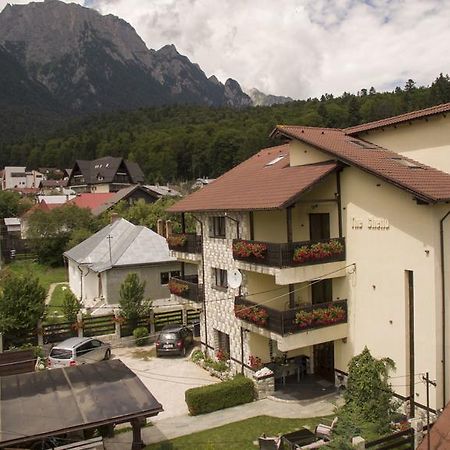 The Ghetto Hotel Buşteni Eksteriør billede